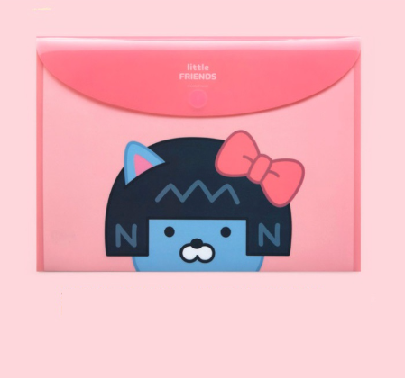 Kakao Friends Neo pocket folder - Korean Corner