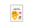 Kakao Friends Ryan wappen sticker - Korean Corner